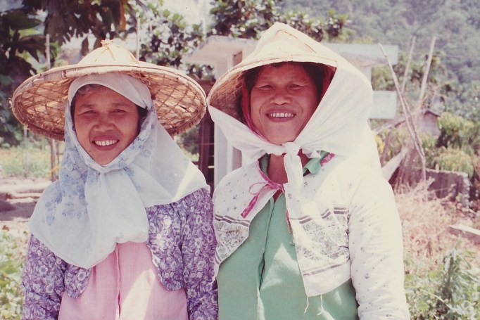 2Pineapple farmers Taiwan