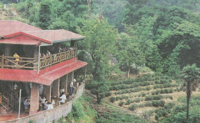 Tea Mt restaurant